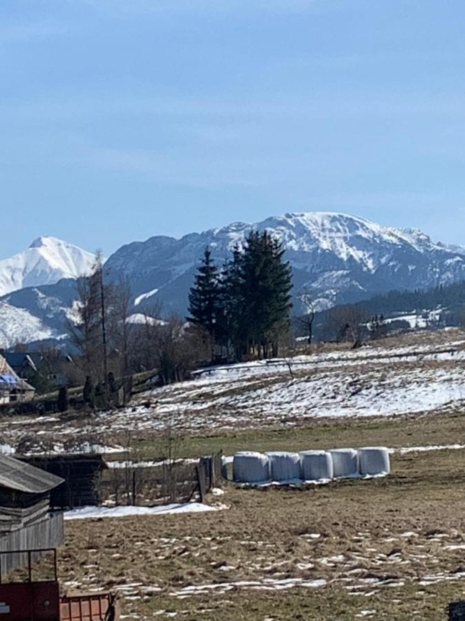 Domki Magdalena Przy Termach Chocholowskich Witów Buitenkant foto